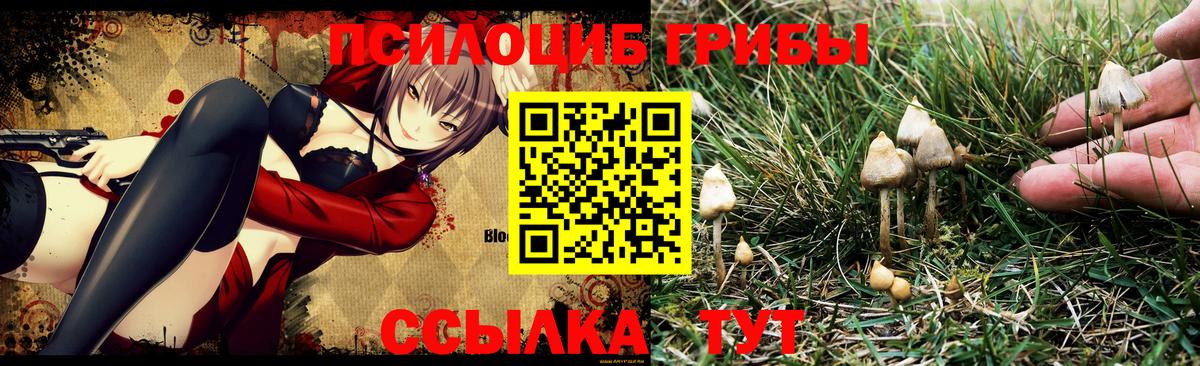 Псилоцибиновые грибы Magic Shrooms Каменка