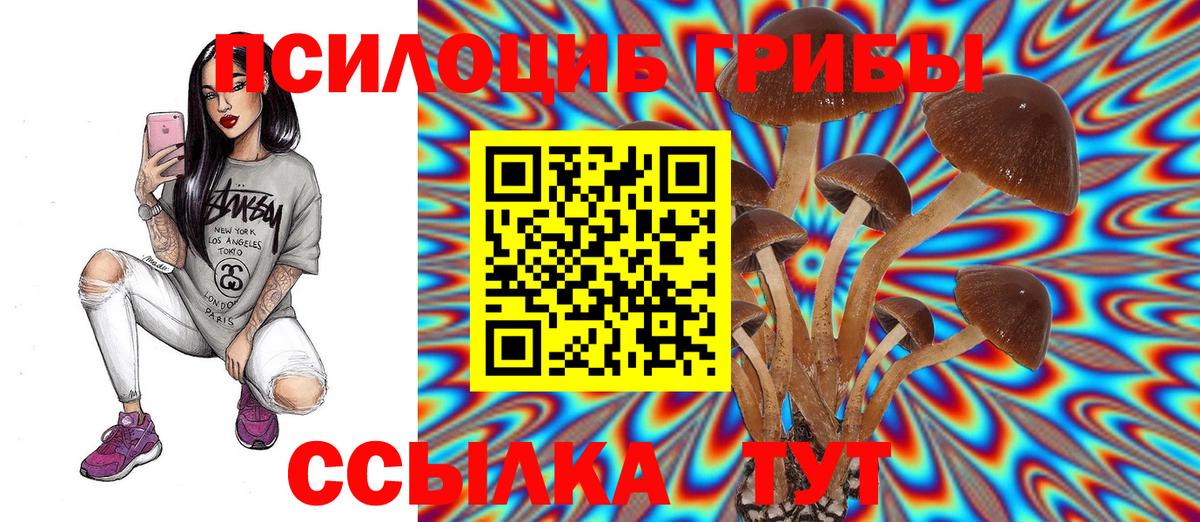 Псилоцибиновые грибы Psilocybe  Псилоцибиновые грибы ЛСД  наркотики  Каменка  Вход с VPN 
